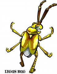 lygus bug.jpg